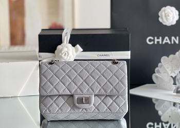 Chanel 2.25 Miss CoCo's Bag In Silver Hardware Gray