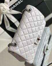 Chanel 2.25 Miss CoCo's Bag In Silver Hardware Gray - 2