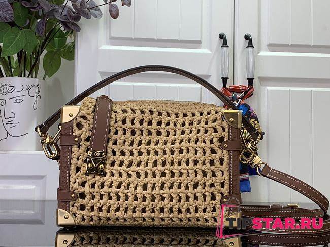 Louis Vuitton Side Trunk MM Bag Natural Tan - 1