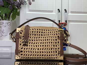 Louis Vuitton Side Trunk MM Bag Natural Tan
