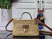 Louis Vuitton Vanity Chain Pouch Natural Tan - 1