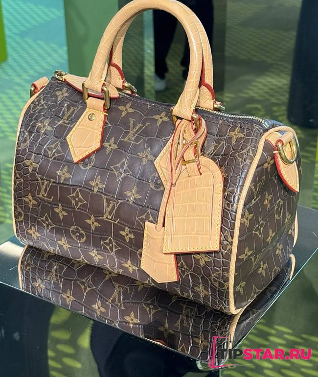 Louis Vuitton Speedy Bandoulière 25 In Monogram - 1