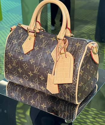 Louis Vuitton Speedy Bandoulière 25 In Monogram