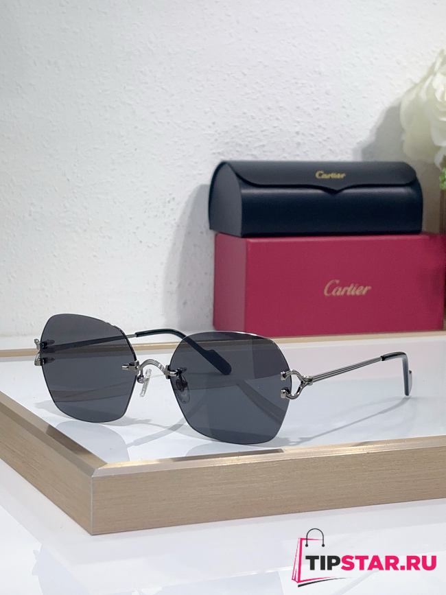 Cartier Sunglasses CT0564O - 1