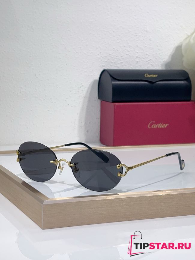 Cartier Sunglasses CT0551S - 1