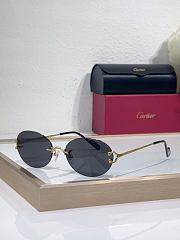 Cartier Sunglasses CT0551S - 1