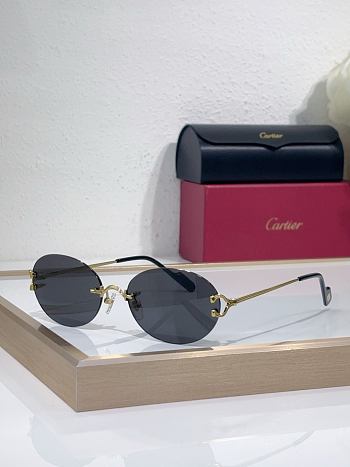 Cartier Sunglasses CT0551S