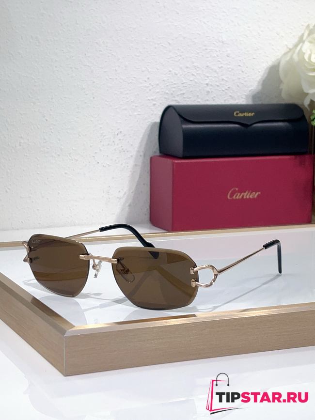 Cartier Sunglasses CT0468S - 1