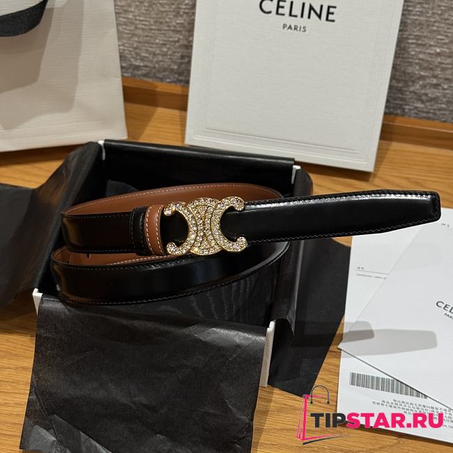 Celine Triomphe Classic Reversible Belt 2.5 cm In Black/Brown - 1
