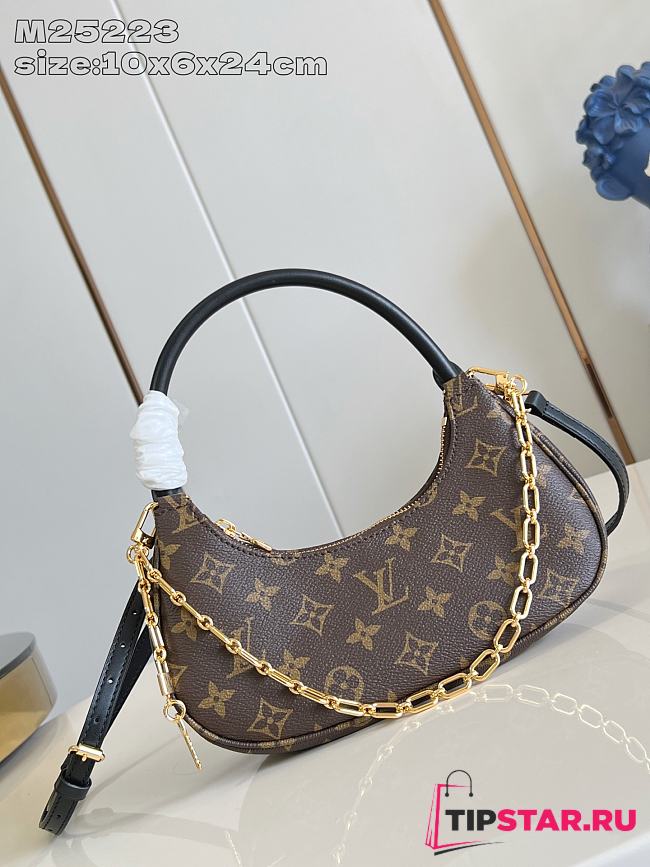 Louis Vuitton Catchy PM Monogram Canvas M25223 - 1