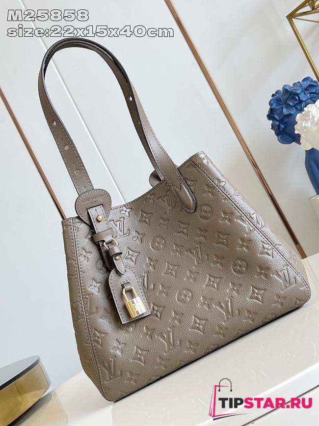 Louis Vuitton All In One PM Cowhide leather Smoke - 1