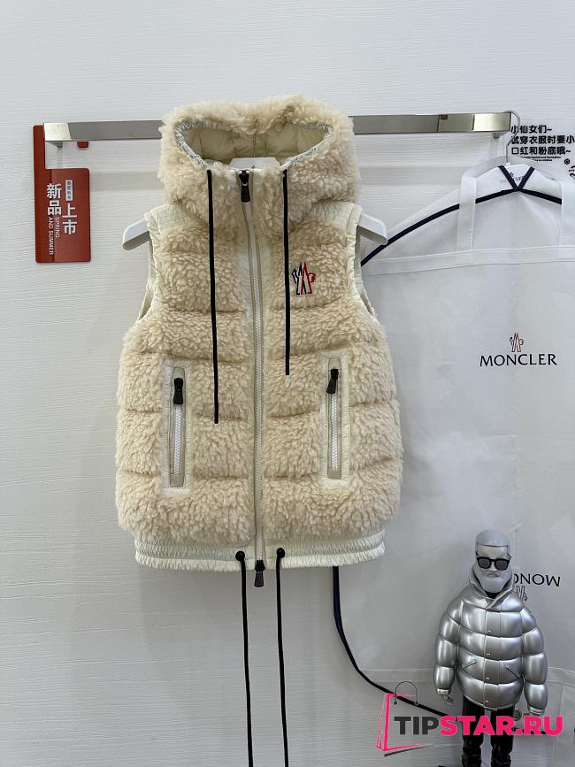 Moncler Classic Teddy Hooded Casual Down Vest In Beige - 1