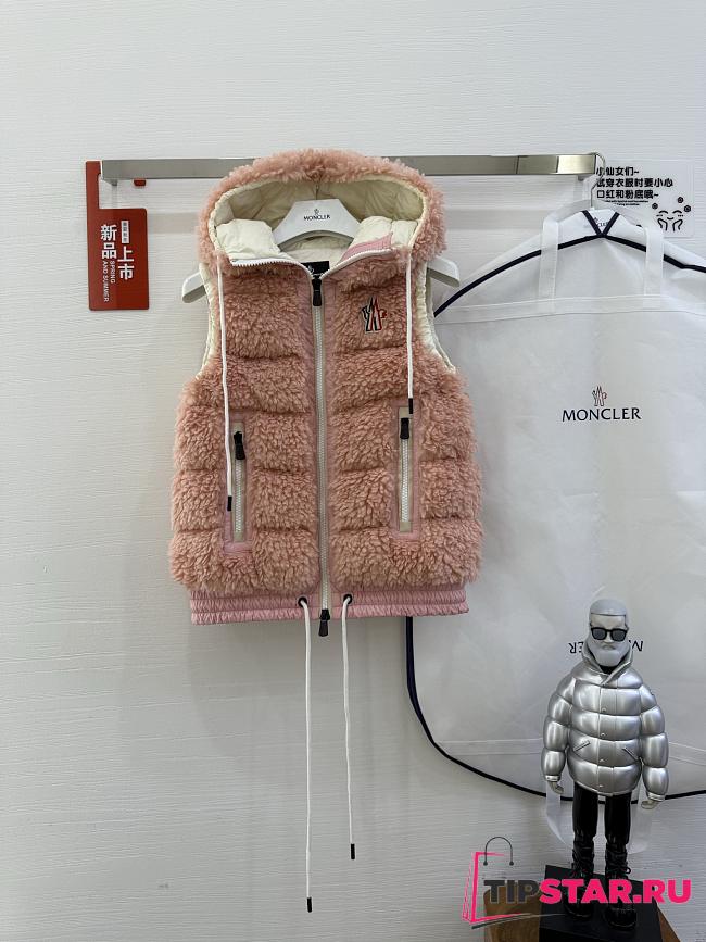 Moncler Classic Teddy Hooded Casual Down Vest In Pink - 1
