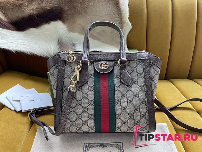 Gucci Ophidia tote bag evokes vintage elements - 1