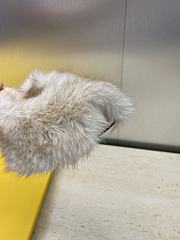 Fendi Open-Toe Lounge Slippers White - 2