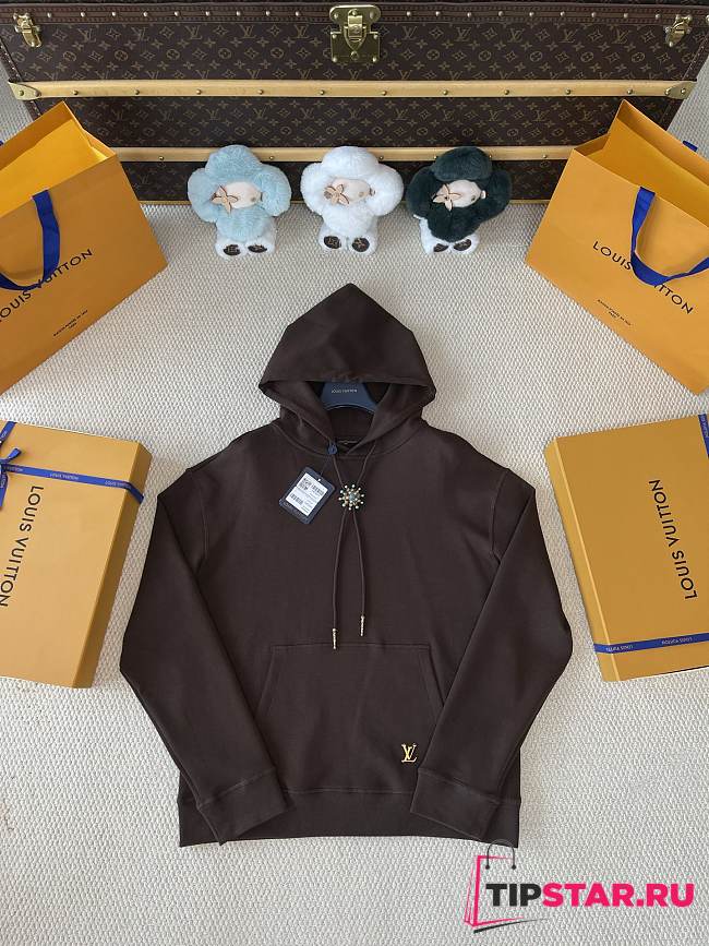 Louis Vuitton Hoodie In Brown Color - 1