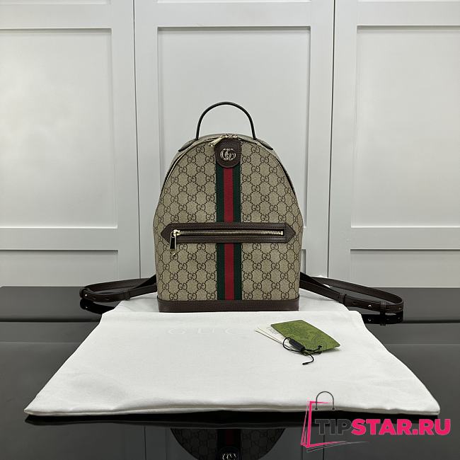 Gucci Ophidia backpack small size - 1