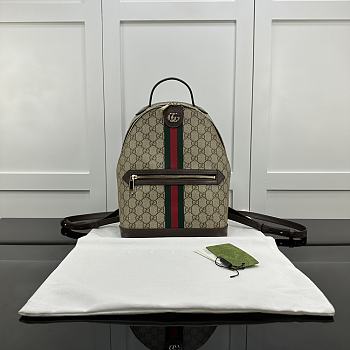 Gucci Ophidia backpack small size