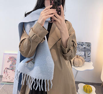 Loewe mohair scarf in blue