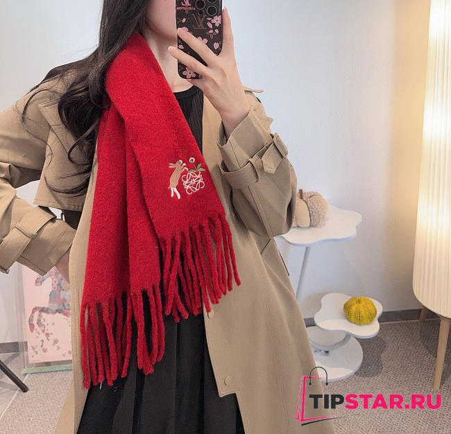 Loewe mohair scarf in red - 1