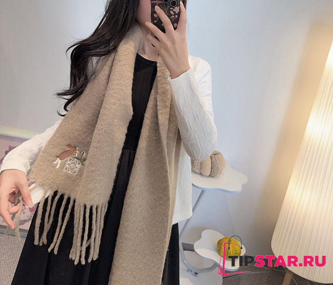 Loewe mohair scarf in dark beige - 1