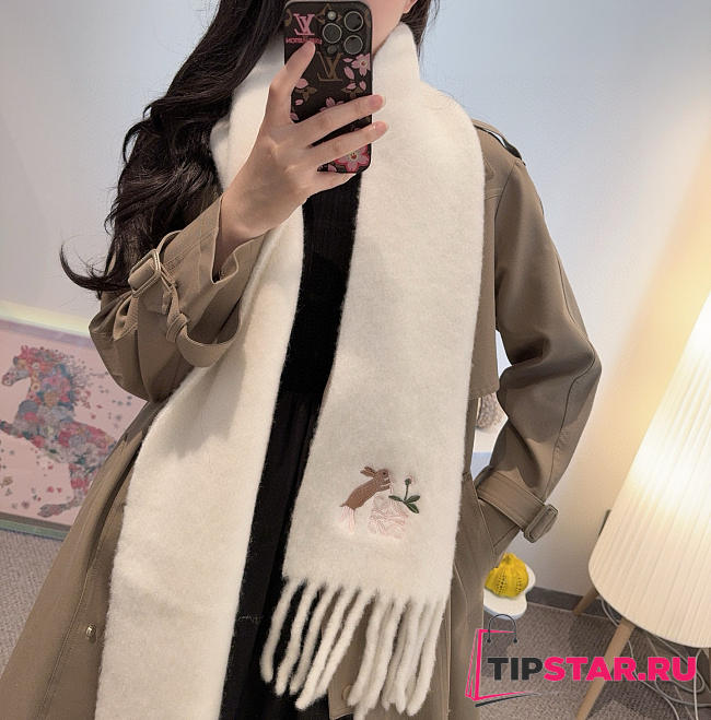 Loewe mohair scarf in white - 1