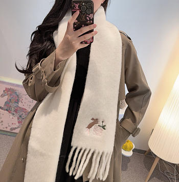 Loewe mohair scarf in white