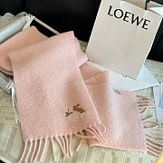 Loewe mohair scarf in pink - 5