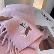 Loewe mohair scarf in pink - 4