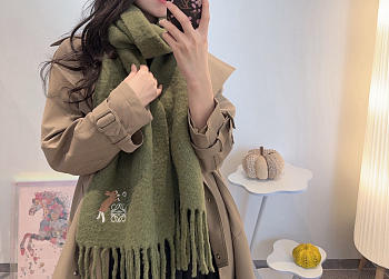Loewe mohair scarf in green