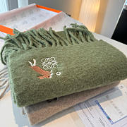 Loewe mohair scarf in green - 5