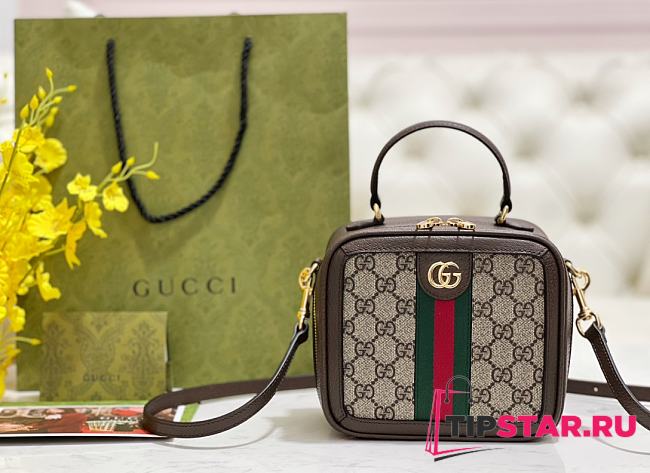 Gucci Ophidia Shoulder Bag Brown Leather Plastic - 1