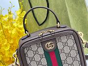 Gucci Ophidia Shoulder Bag Brown Leather Plastic - 2