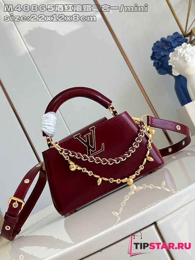 Louis Vuitton Capucines East-West In Burgundy Size 22x12x8 cm - 1
