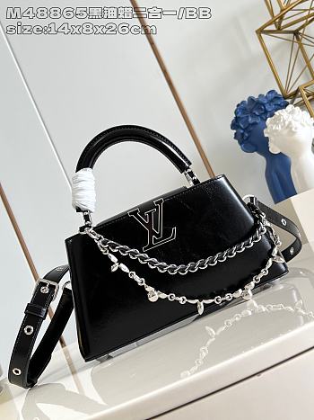 Louis Vuitton Capucines East-West In Black Size 26x14x8 cm