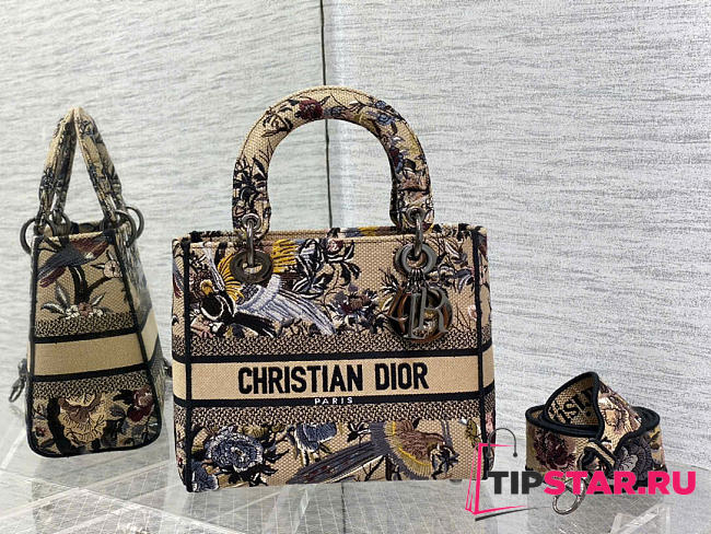 Dior Women Medium Lady D-lite Bag Beige Multicolor - 1