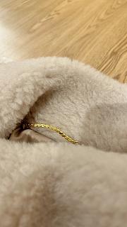 Max Mara Teddy Bear Coat Vanilla color - 6