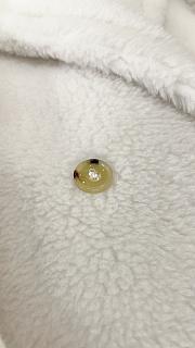 Max Mara Teddy Bear Coat Creamy White - 6