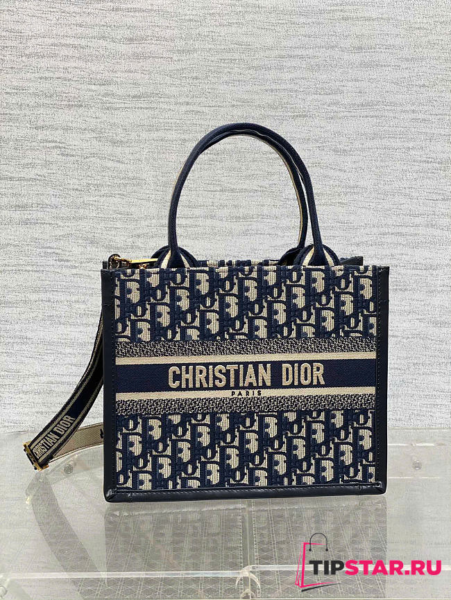 Dior Small Book Tote Blue Dior Oblique Embroidery - 1