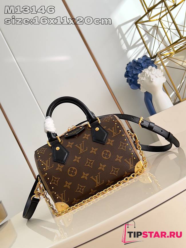 Louis Vuitton Speedy Trunk 20 Monogram In Brown - 1
