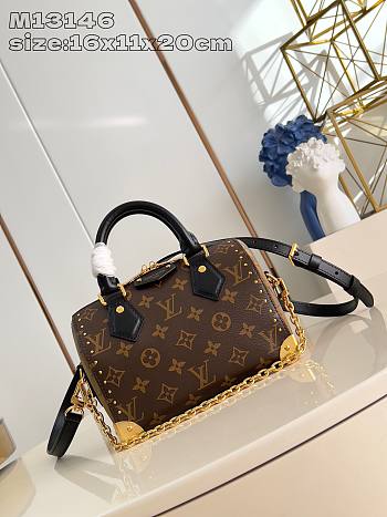 Louis Vuitton Speedy Trunk 20 Monogram In Brown