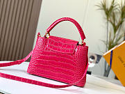 Louis Vuitton Capucines Cocodrilo Bolsas Rosa Precio Bolsos - 5