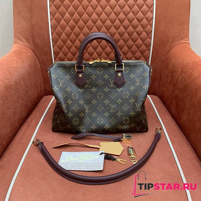 Louis Vuitton Speedy 30 Soft Celebration M28379 - 1