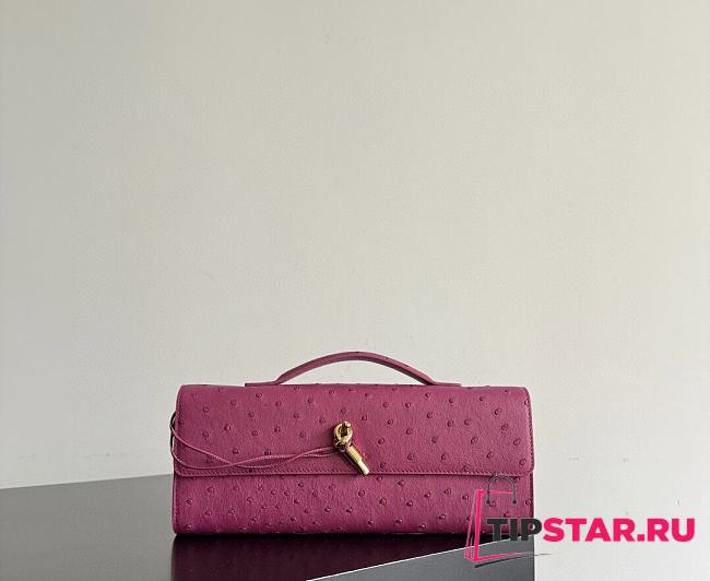 Bottega Veneta Andiamo Clutch Ostrich Leather 04 - 1