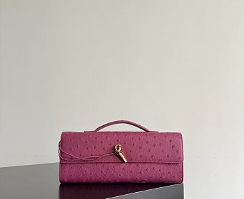 Bottega Veneta Andiamo Clutch Ostrich Leather 04