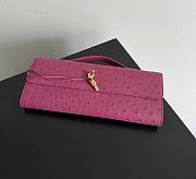 Bottega Veneta Andiamo Clutch Ostrich Leather 04 - 2