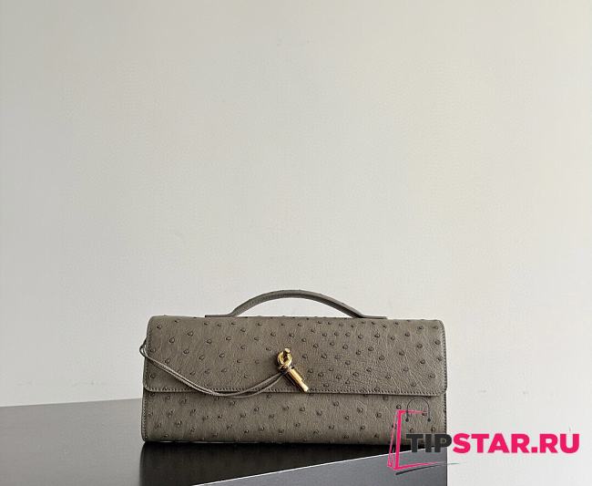 Bottega Veneta Andiamo Clutch Ostrich Leather 03 - 1