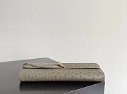 Bottega Veneta Andiamo Clutch Ostrich Leather 03 - 4