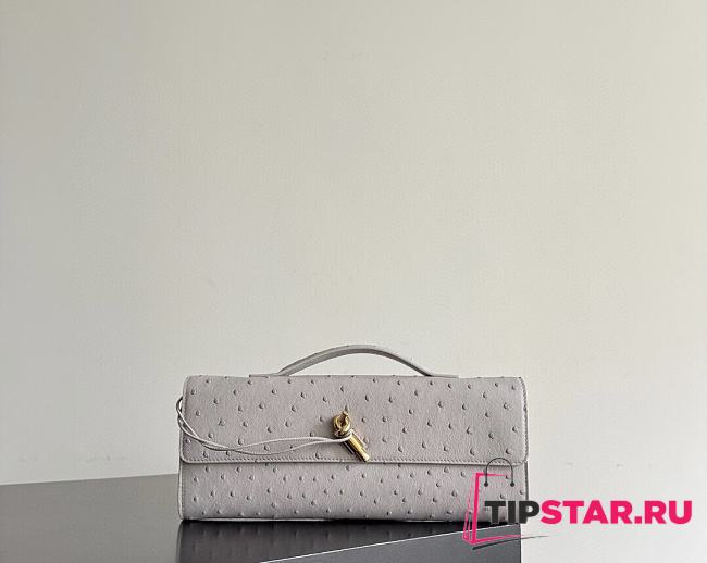 Bottega Veneta Andiamo Clutch Ostrich Leather 02 - 1
