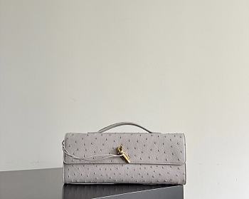 Bottega Veneta Andiamo Clutch Ostrich Leather 02